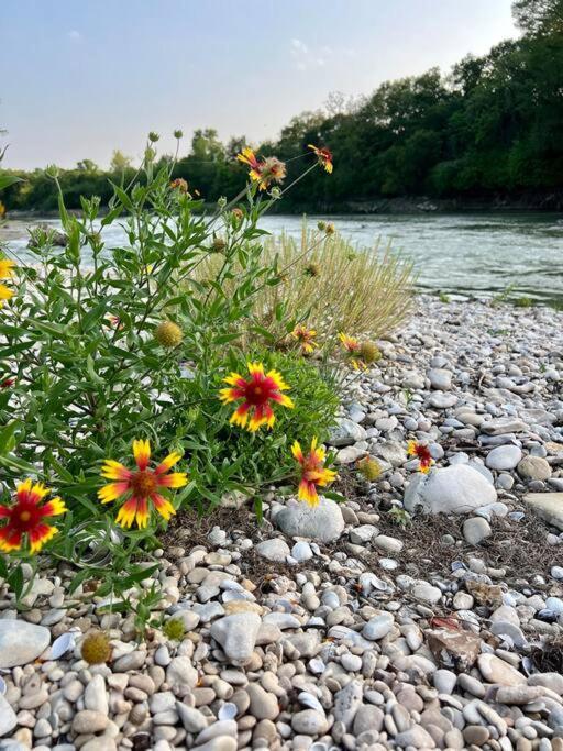 The River Haven - Sleeps 32 - On Guadalupe River Сегин Экстерьер фото